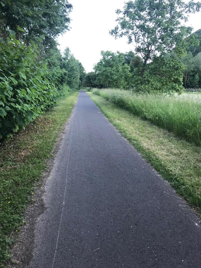 Moselina Ferienwohnungen Sankt Aldegund Extérieur photo